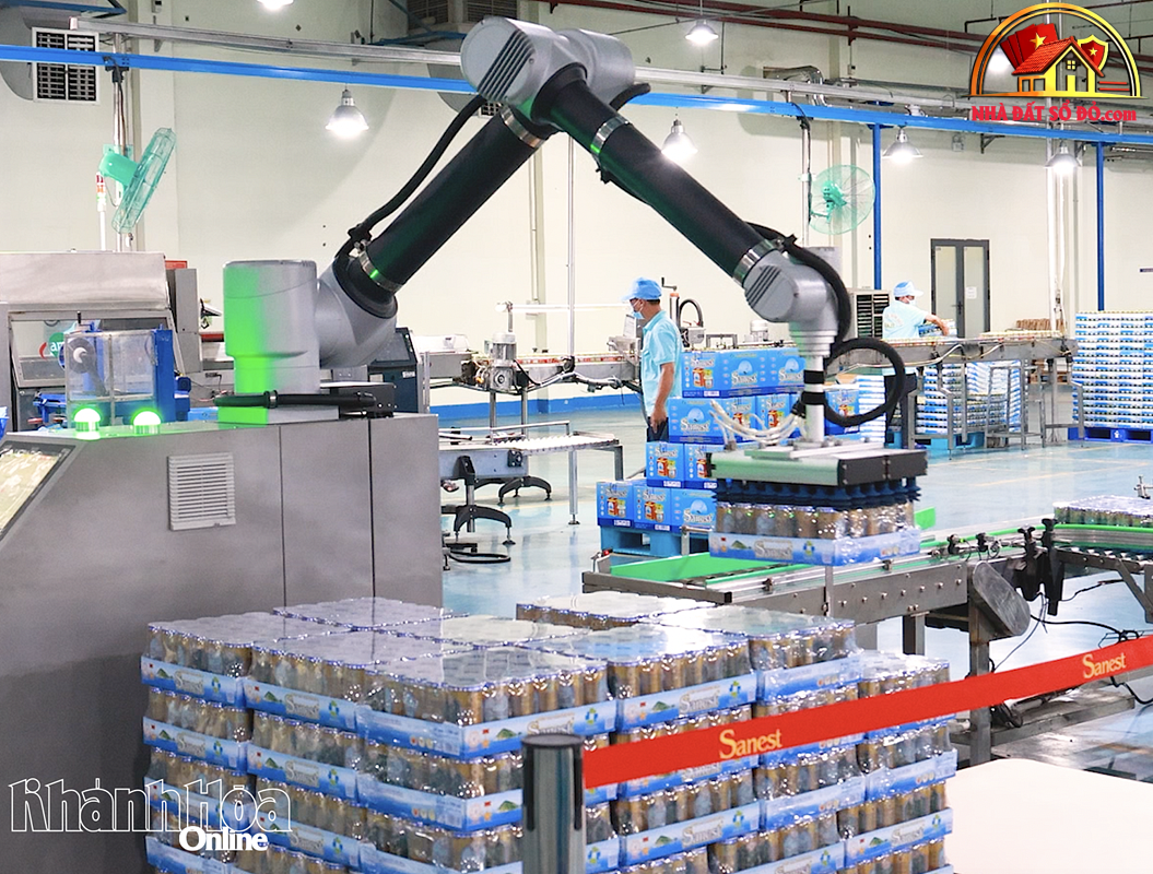 Xu hướng bất động sản sổ đỏ 2026–2027 tại TP.HCM & Đà Nẵng - Review Nhà Phố - Mua bán nhà phố - Reviewnhapho.com