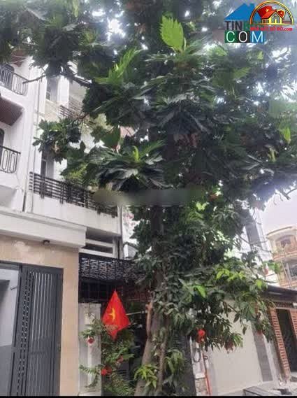 Bán nhà mặt phố Quận 6 Hồ Chí Minh diện tích 72m2 giá 11 tỷ