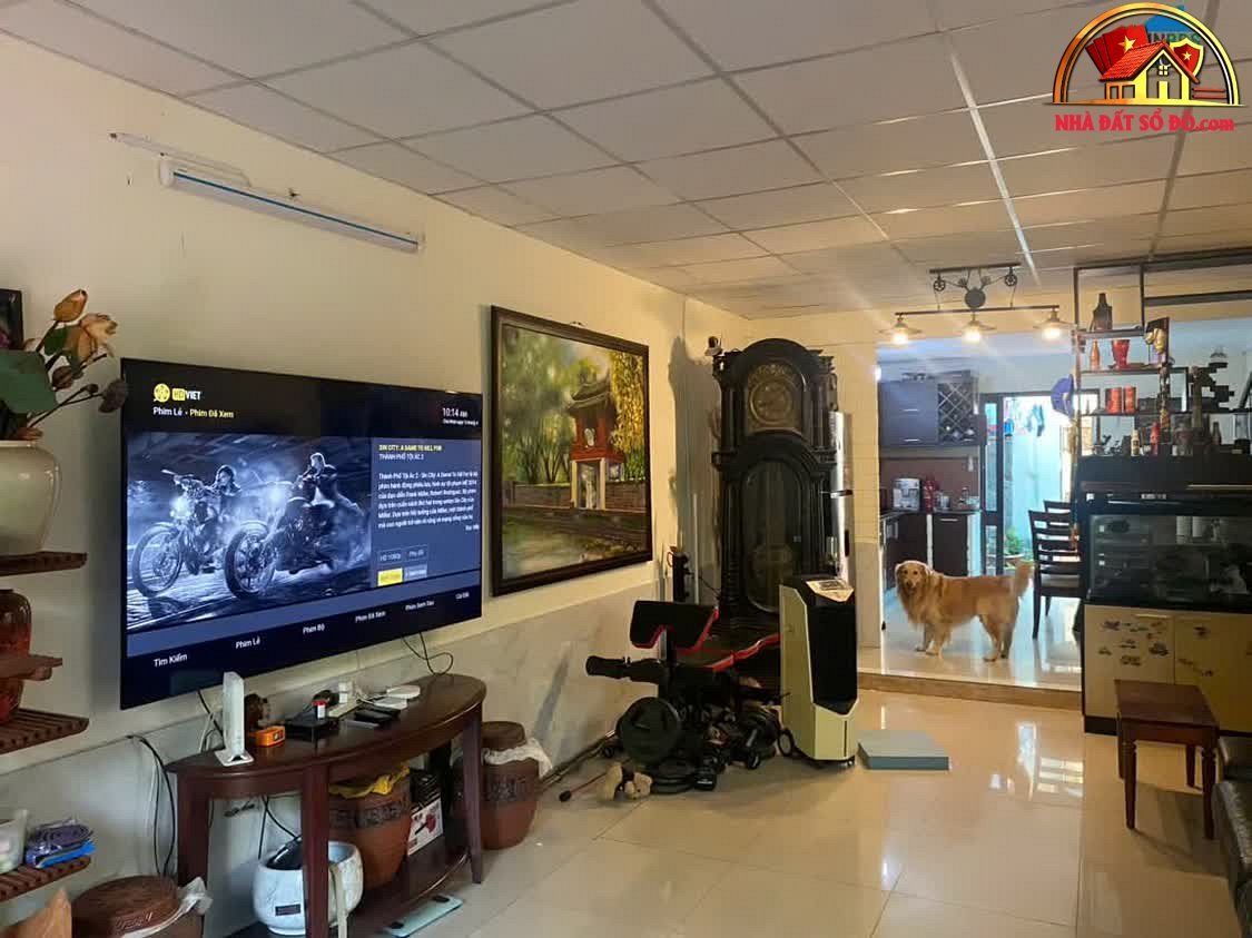 Bán nhà đất sổ đỏ Quận 2 villa đẹp full nội thất 500m2 giá 88 tỷ