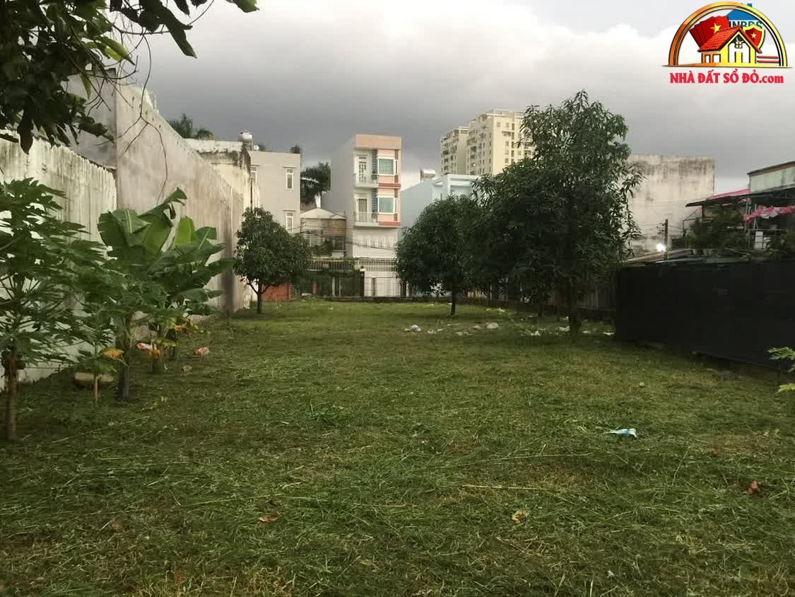Bán đất sổ đỏ Thủ Đức 796m2 mặt tiền đường 22