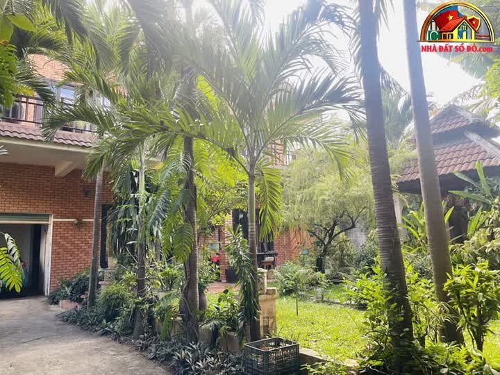 Bán nhà mặt phố view biển tại Đà Nẵng – Đườn… – Bán nhà mặt phố Quận Sơn Trà – Đà Nẵng giá 40 – 80 tỷ