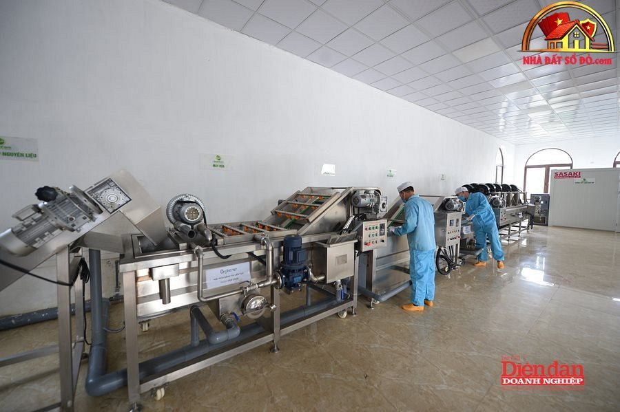 Đầu tư Bất Động Sản Sổ Đỏ: Cơ Hội và Thách Thức 2026 - Review Nhà Phố - Mua bán nhà phố thổ cư - Reviewnhapho.com Đầu tư Bất Động Sản Sổ Đỏ: Cơ Hội và Thách Thức 2026 - Review Nhà Phố - Mua bán nhà phố - Reviewnhapho.com