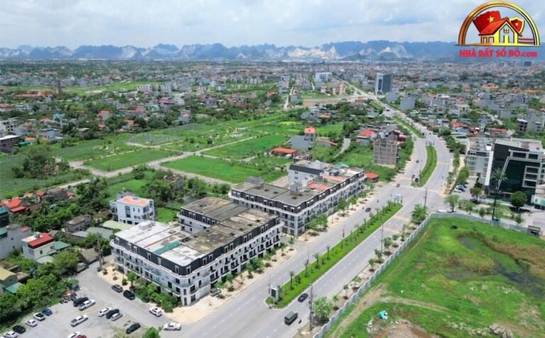 Thông tin đấu giá đất Ninh Bình: 264 lô với giá khởi điểm 6 triệu/m2
