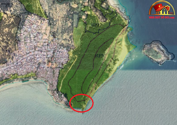 Xu hướng bất động sản sổ đỏ năm 2026 - 2027 tại Gia Lai - Review Nhà Phố - Mua bán nhà phố - Reviewnhapho.com
