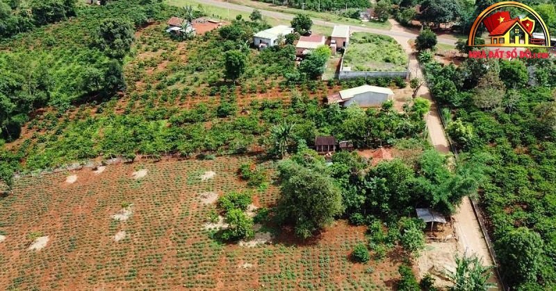 Giá nhà đất sổ đỏ tại Gia Lai: Thủ tục tách thửa và đầu tư