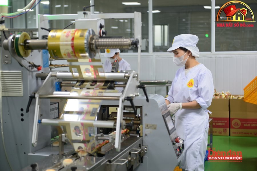 Xu hướng Bất Động Sản Sổ Đỏ 2026-2027: Đầu Tư Nhà Đất Đáng Chú Ý - Review Nhà Phố - Mua bán nhà phố - Reviewnhapho.com