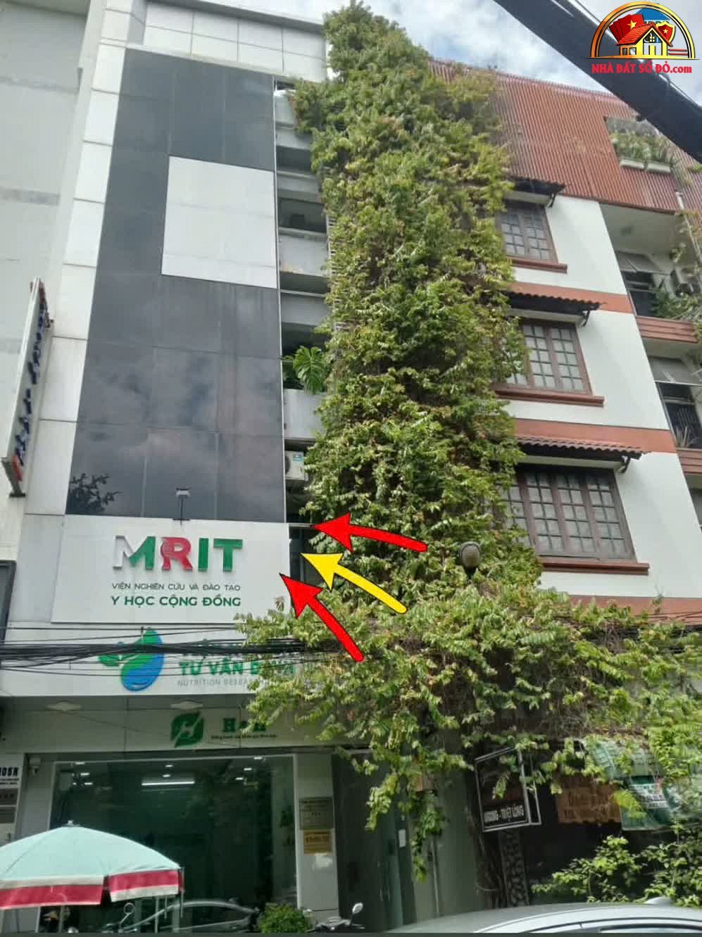 Nhà đất sổ đỏ TP.HCM: Bán nhà mặt phố Trần Thiện Chánh Quận 10 35 tỷ