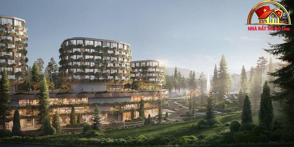 Xu hướng bất động sản sổ đỏ 2026–2027 tại TP.HCM và Đà Nẵng - Review Nhà Phố - Mua bán nhà phố thổ cư - Reviewnhapho.com Xu hướng bất động sản sổ đỏ 2026–2027 tại TP.HCM và Đà Nẵng - Review Nhà Phố - Mua bán nhà phố - Reviewnhapho.com