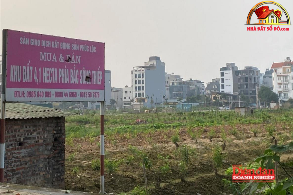 Xu hướng bất động sản sổ đỏ 2026–2027: Thay đổi trong chính sách quản lý - Review Nhà Phố - Mua bán nhà phố thổ cư - Reviewnhapho.com Xu hướng bất động sản sổ đỏ 2026–2027: Thay đổi trong chính sách quản lý - Review Nhà Phố - Mua bán nhà phố - Reviewnhapho.com