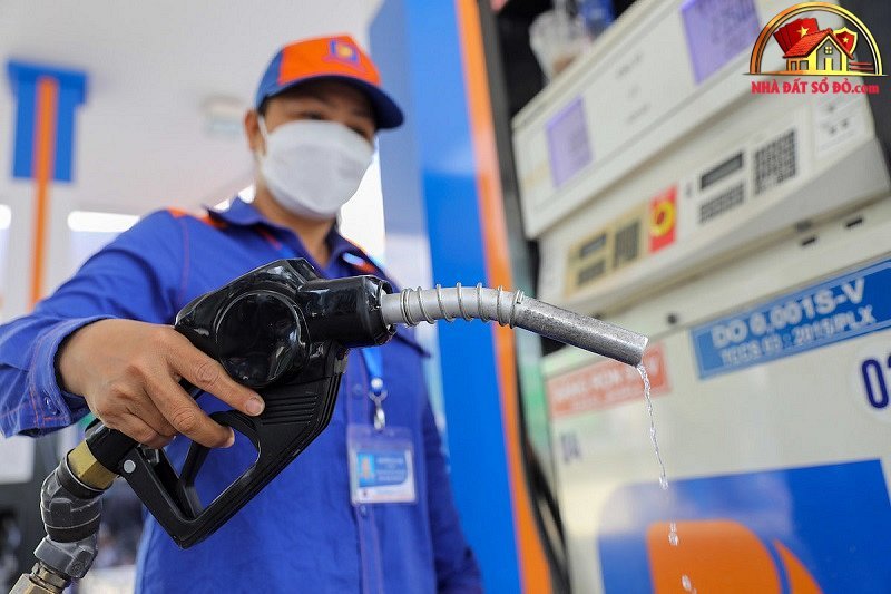 Giá nhà TP.HCM & Đà Nẵng 2026 và xu hướng đầu tư sổ đỏ