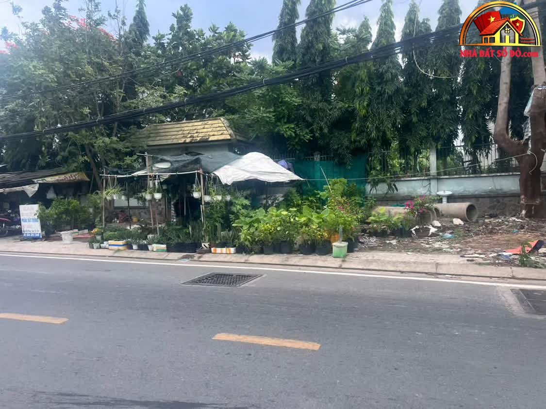 Bán đất Mt Đào Sư Tích, diện tích 720m², giá 40 tỷ – Nhà Bè, Hồ Chí Minh – NHÀ ĐẤT BẤT ĐỘNG SẢN SỔ ĐỎ