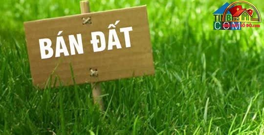 Bán đất mặt tiền đường Thăng Long 150m², giá 13 tỷ tại Hải Châu Đà Nẵng