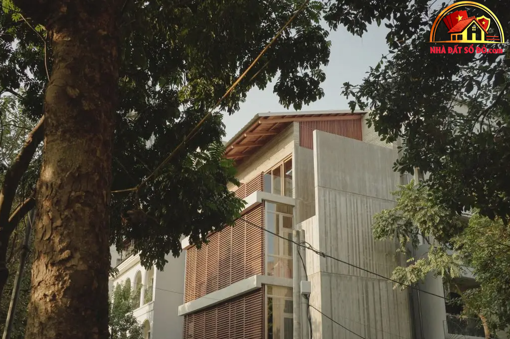 Nhà ống 5 tầng Hà Nội: Cấu trúc tiêu chuẩn kép giúp không gian hẹp sâu tự thở- Ảnh 3. Nhà ống 5 tầng Hà Nội: Cấu trúc tiêu chuẩn kép giúp không gian hẹp sâu tự thở- Ảnh 3.