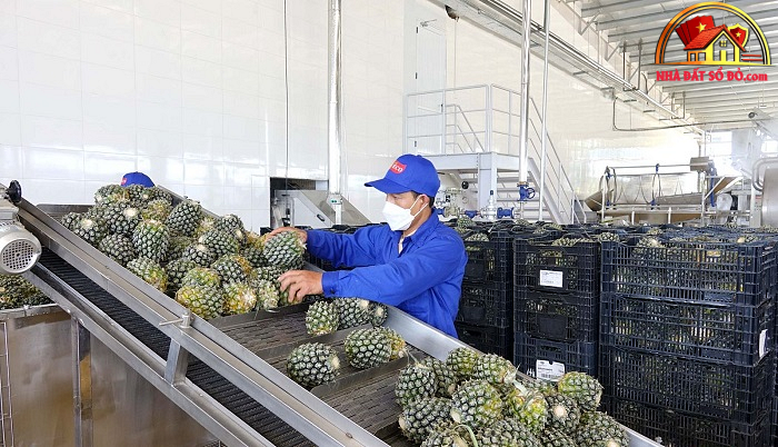 Xu hướng bất động sản sổ đỏ 2026–2027 tại TP.HCM và Đà Nẵng - Review Nhà Phố - Mua bán nhà phố thổ cư - Reviewnhapho.com Xu hướng bất động sản sổ đỏ 2026–2027 tại TP.HCM và Đà Nẵng - Review Nhà Phố - Mua bán nhà phố - Reviewnhapho.com