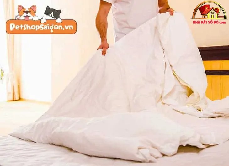 Cách giữ nhà luôn sạch sẽ khi nuôi chó mèo