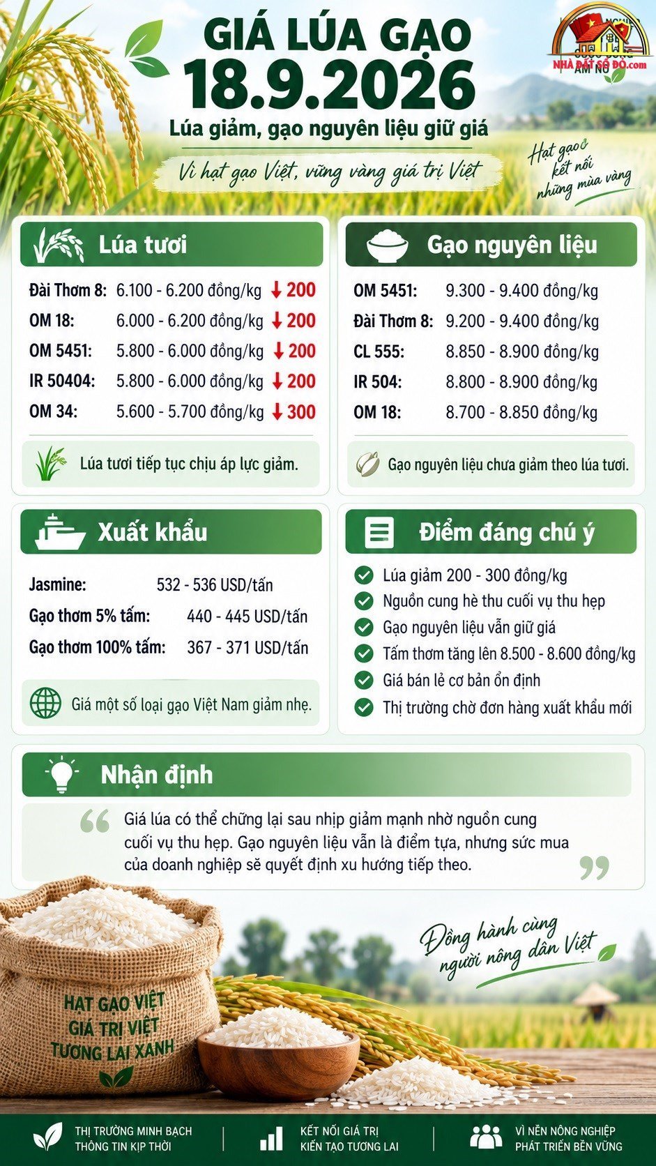 Giá nhà đất sổ đỏ TP.HCM & Đà Nẵng hôm nay 2026 - Review Nhà Phố - Mua bán nhà phố thổ cư - Reviewnhapho.com Giá lúa gạo hôm nay 18.9.2026: Lúa tươi giảm tới 300 đồng/kg - ảnh 3