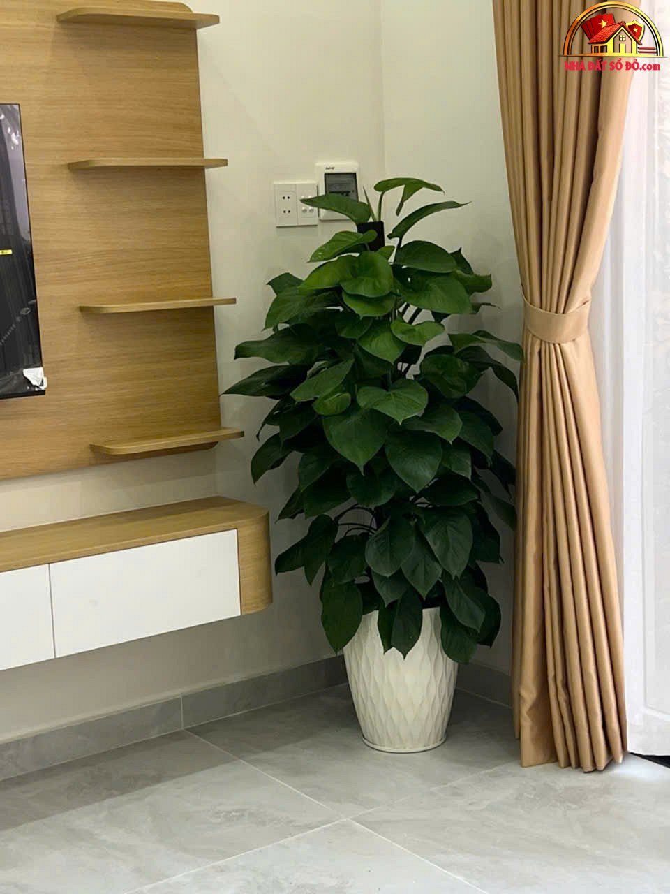 Nhà đất sổ đỏ Hiệp Phước Nhà Bè TP.HCM – Nhà… – Bán nhà mặt phố Huyện Nhà Bè – TP Hồ Chí Minh giá 3 – 5 tỷ