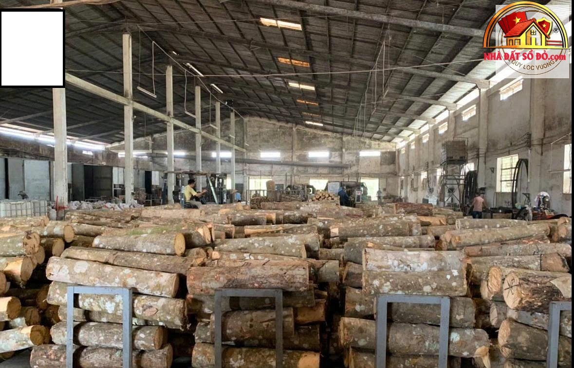 Nhà xưởng quy mô lớn tại Xuân Phú, Đà Nẵng – 58.591m², giá thương lượng – Bán nhà đất