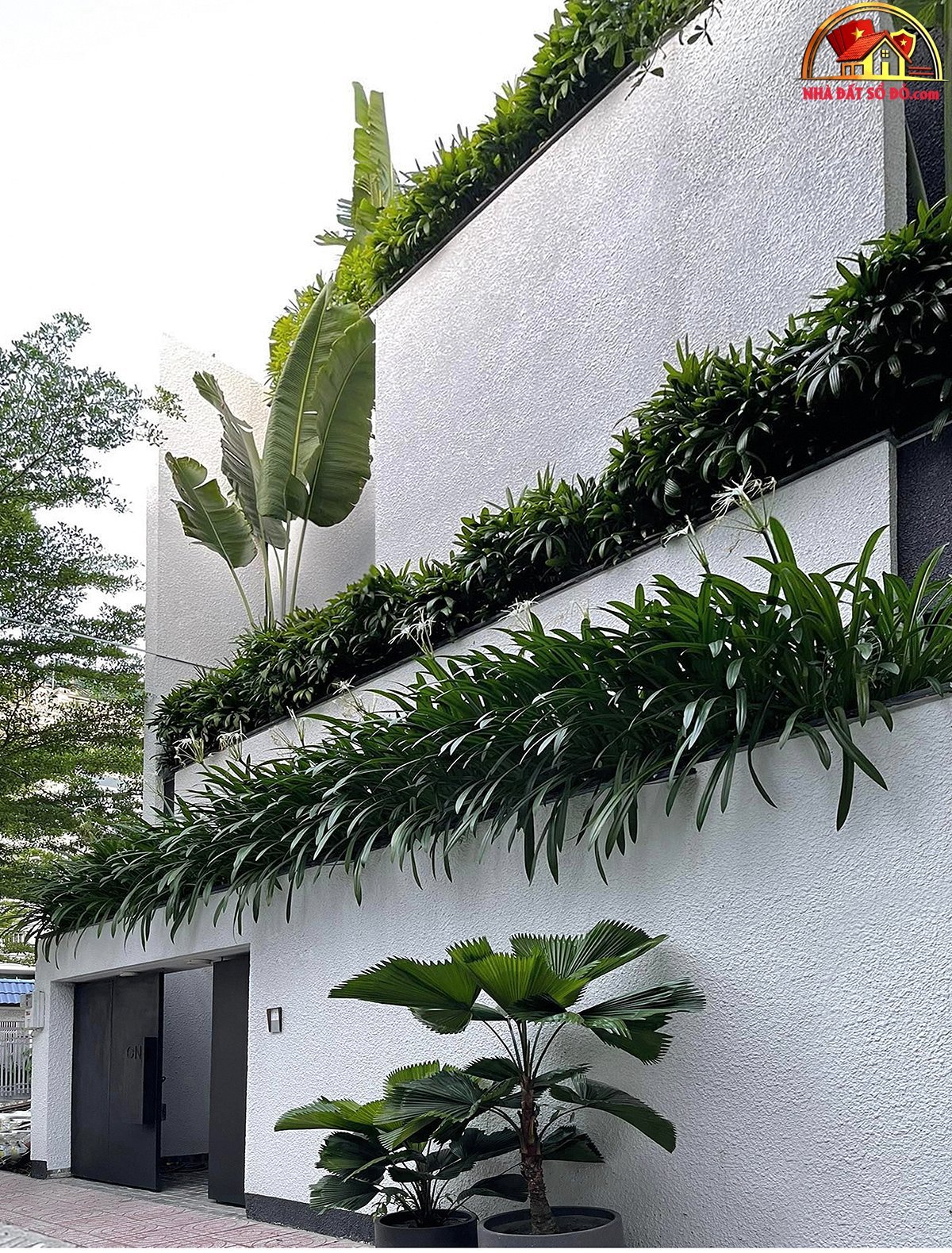 Nhà hướng Tây xanh mướt từ ngoài vào trong - Ảnh 2. Nhà hướng Tây xanh mướt từ ngoài vào trong - Ảnh 2.