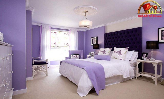 Những kiểu phòng ngủ tím độc đáo và mới mẻ - Ảnh 1. Những kiểu phòng ngủ tím độc đáo và mới mẻ - Ảnh 1.