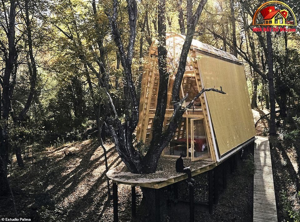 Những ngôi nhà trên cây thiết kế độc đáo, thú vị - Ảnh 8. Những ngôi nhà trên cây thiết kế độc đáo, thú vị - Ảnh 8.