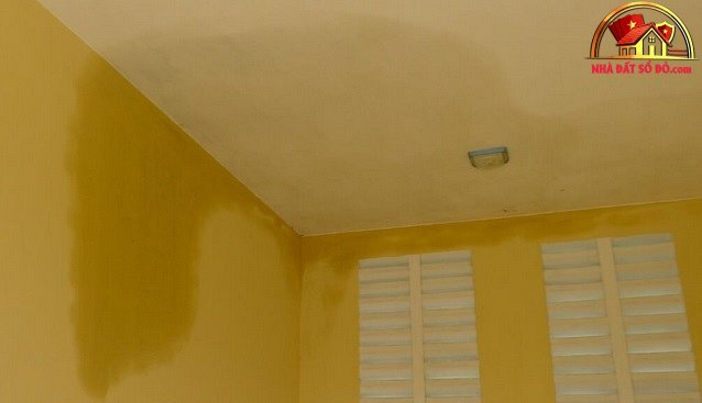 Những vị trí nào trong nhà dễ bị thấm dột nhất - Ảnh 1.