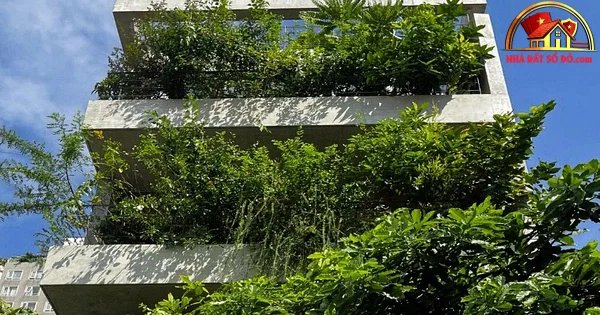 Xu hướng nhà hộp rỗng và giá trị đầu tư bất động sản thổ cư