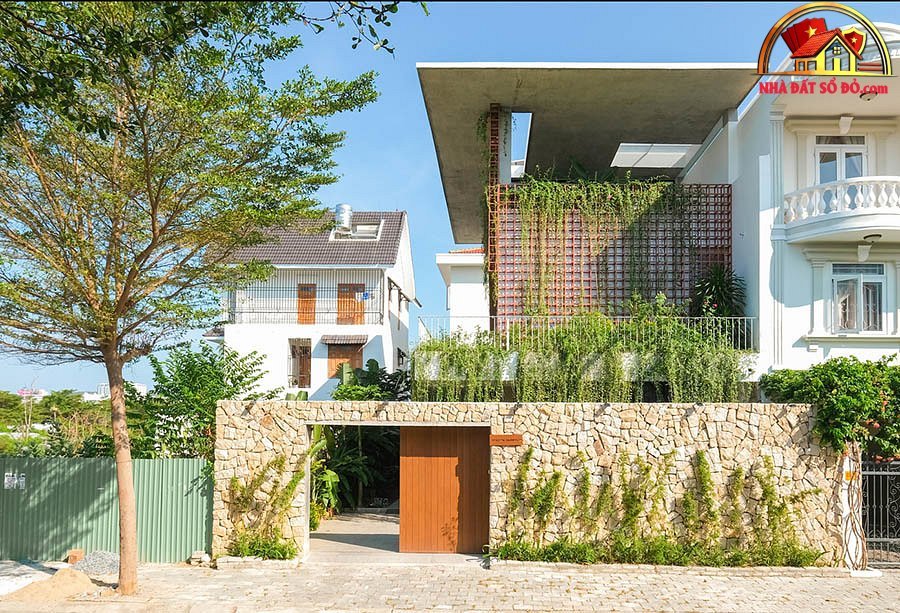 Biệt thự hiện đại 3 tầng ở Nha Trang che nắng bằng rèm dây leo - Ảnh 3.