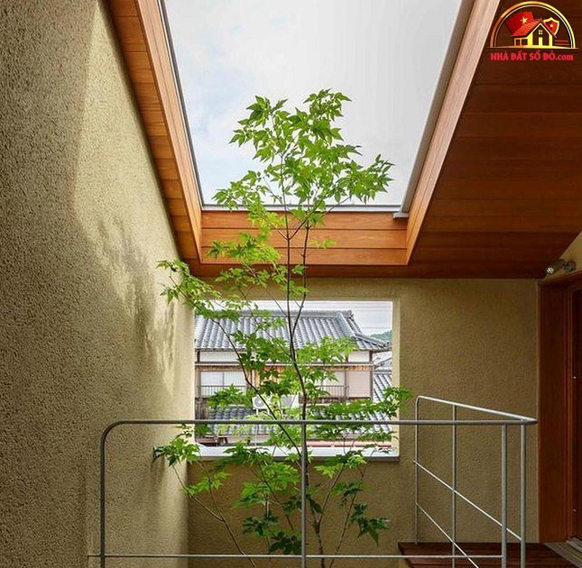 Những xu hướng thiết kế giếng trời năm 2022 để ngôi nhà sang, đẹp - Ảnh 3.