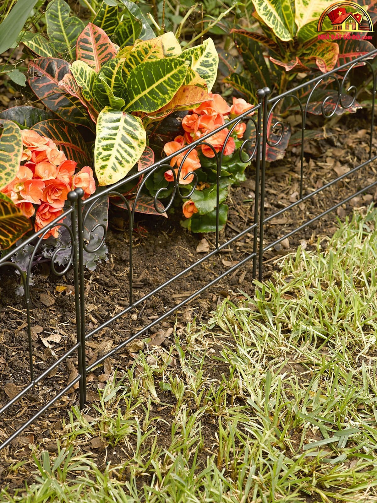 Tuyệt chiêu biến sân vườn trở nên ấn tượng - Ảnh 3. Tuyệt chiêu biến sân vườn trở nên ấn tượng - Ảnh 3.