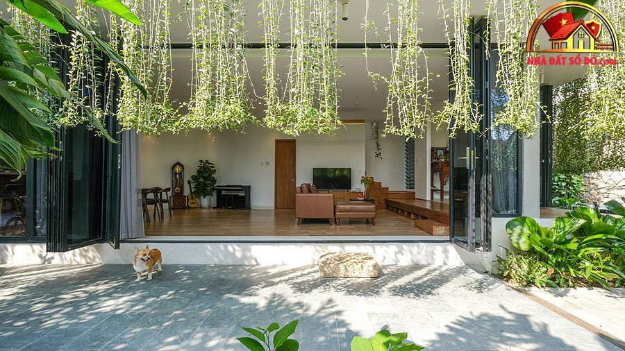 Biệt thự hiện đại 3 tầng ở Nha Trang che nắng bằng rèm dây leo - Ảnh 7.