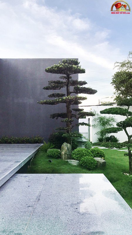 Những mẫu nhà đẹp, độc, lạ - Ảnh 15.