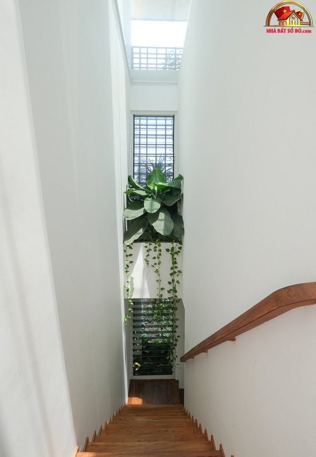 Biệt thự hiện đại 3 tầng ở Nha Trang che nắng bằng rèm dây leo - Ảnh 9.