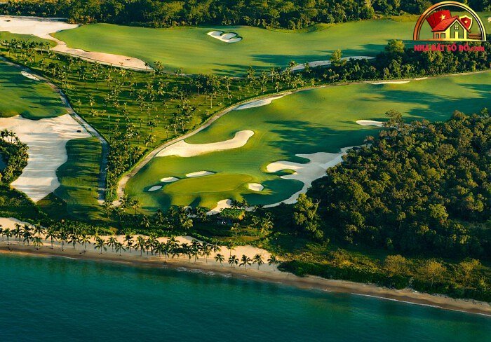 Phú Quốc: Xu Hướng Du Lịch Golf Đổi Mới Trải Nghiệm 2026 - Review Nhà Phố - Mua bán nhà phố thổ cư - Reviewnhapho.com Phú Quốc: Xu Hướng Du Lịch Golf Đổi Mới Trải Nghiệm 2026 - Review Nhà Phố - Mua bán nhà phố - Reviewnhapho.com